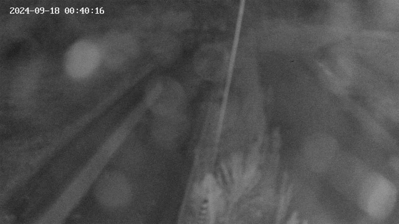 area9-20240918004017.jpg
