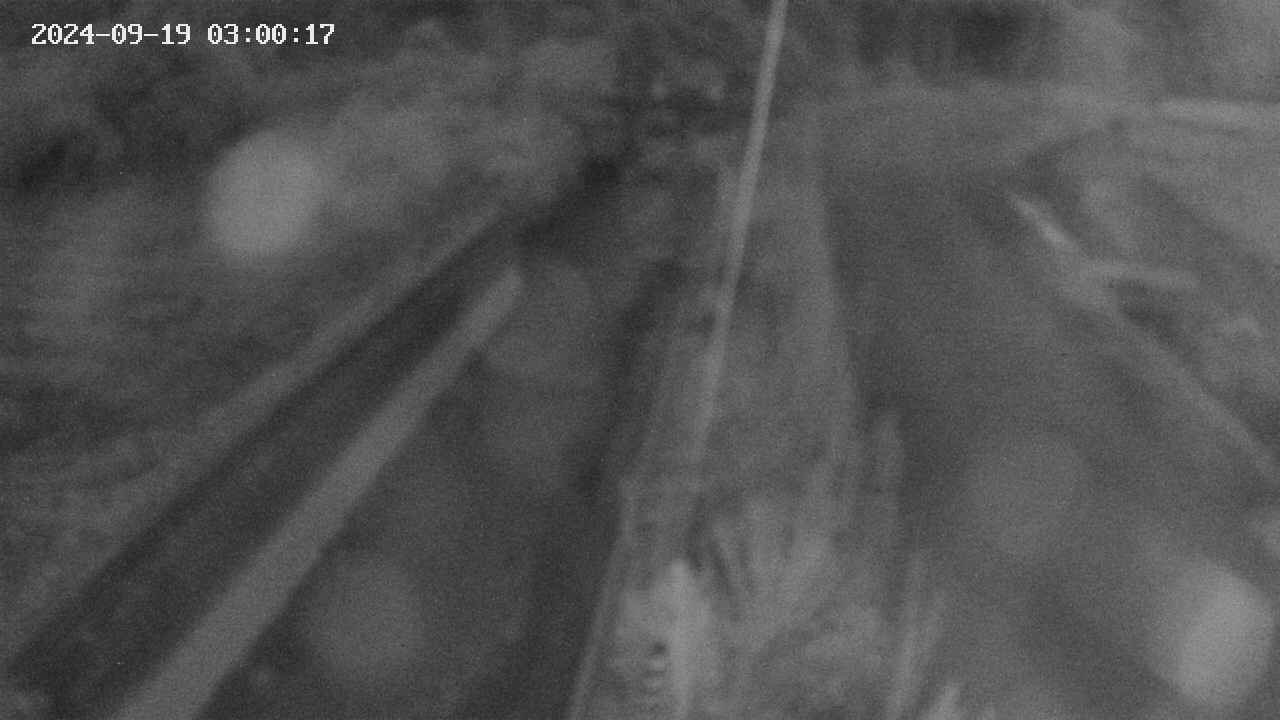area9-20240919030018.jpg