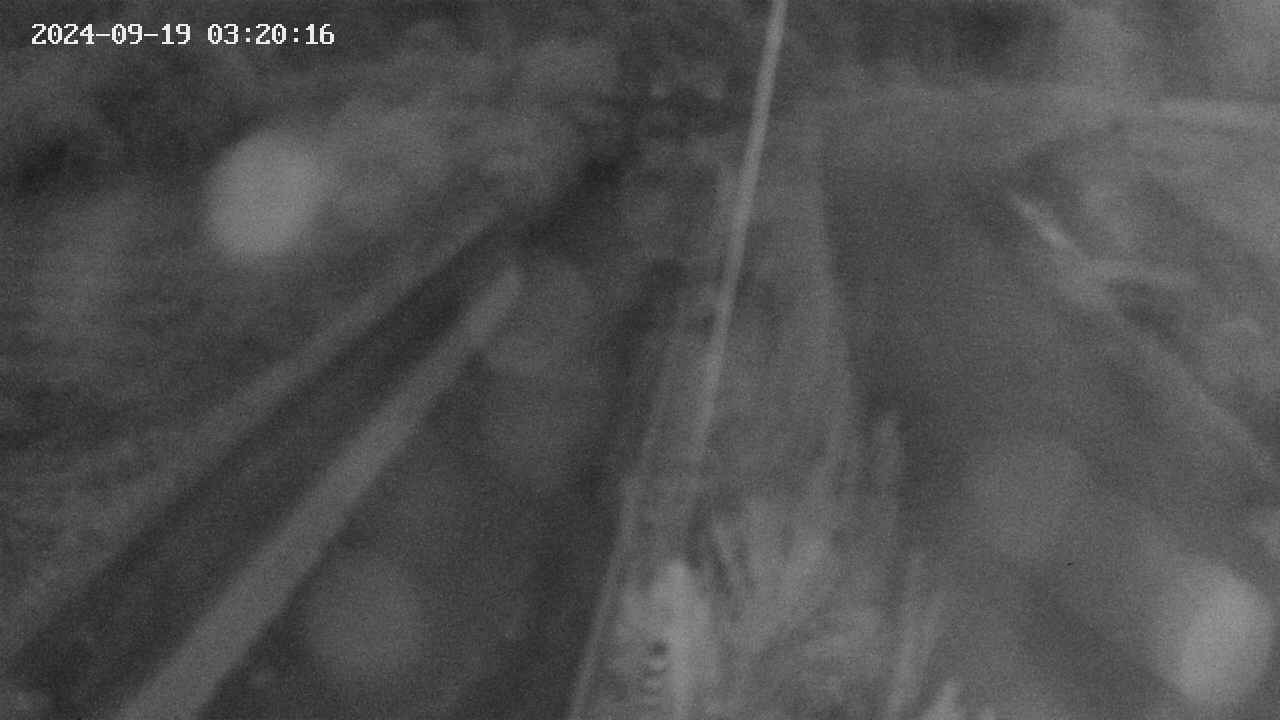 area9-20240919032017.jpg