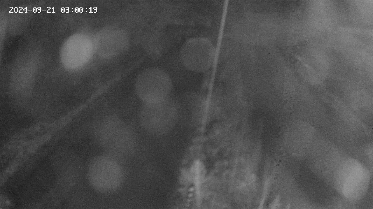 area9-20240921030019.jpg