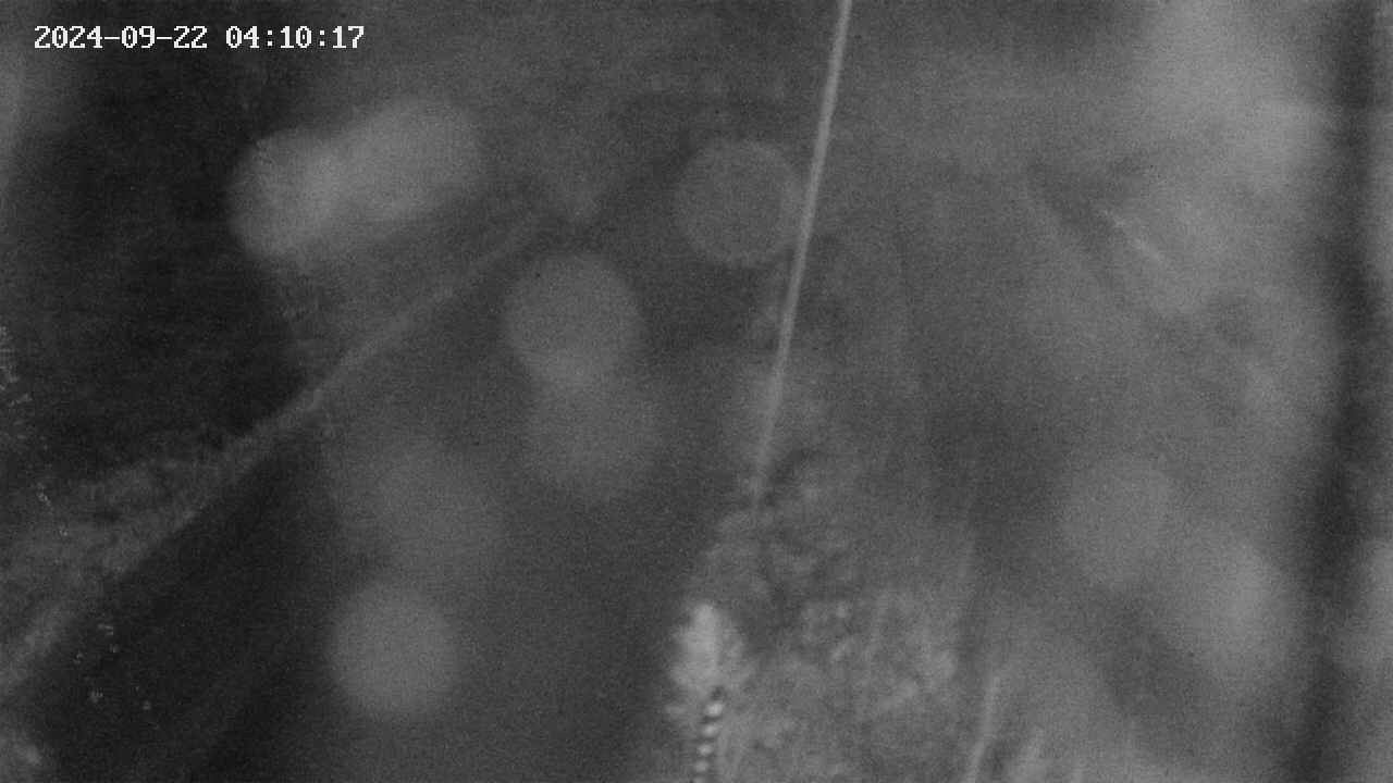 area9-20240922041018.jpg