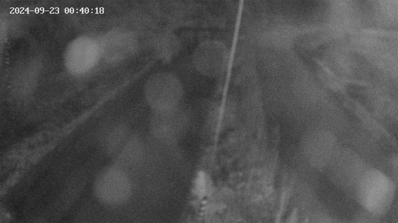 area9-20240923004019.jpg