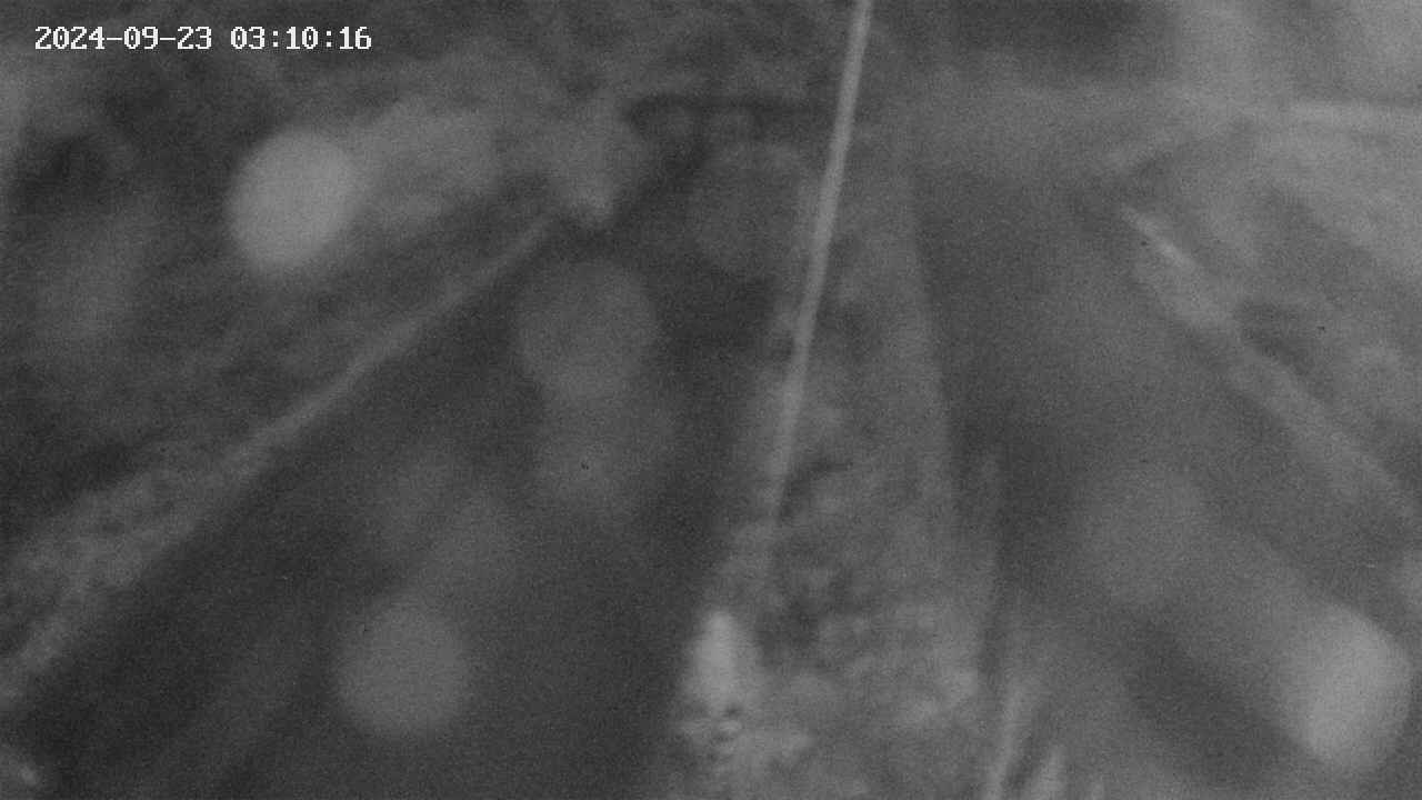 area9-20240923031017.jpg