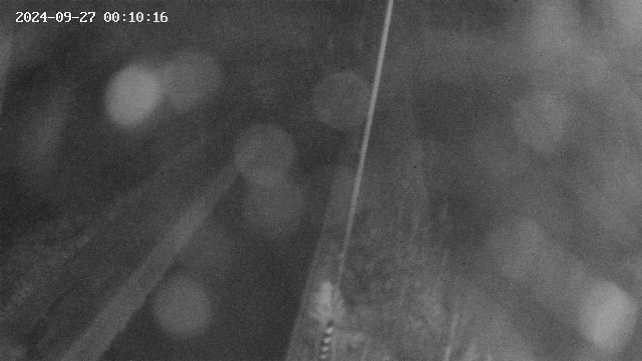 area9-20240927001017.jpg