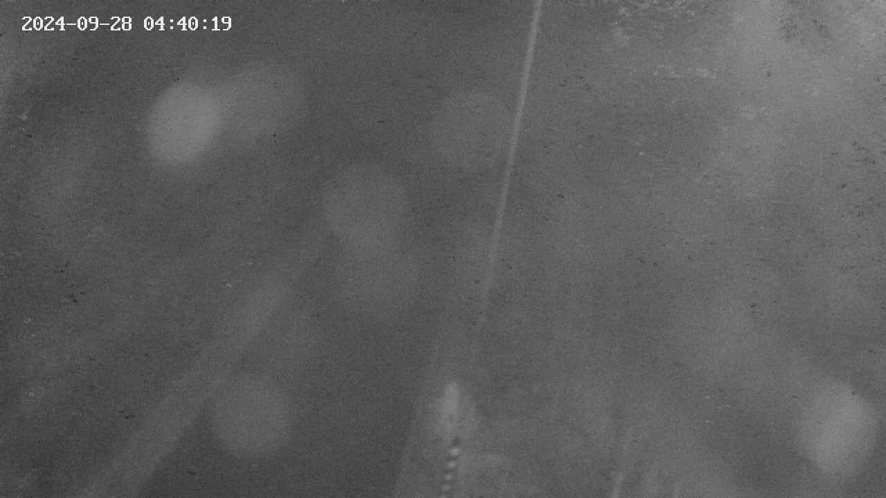 area9-20240928044019.jpg