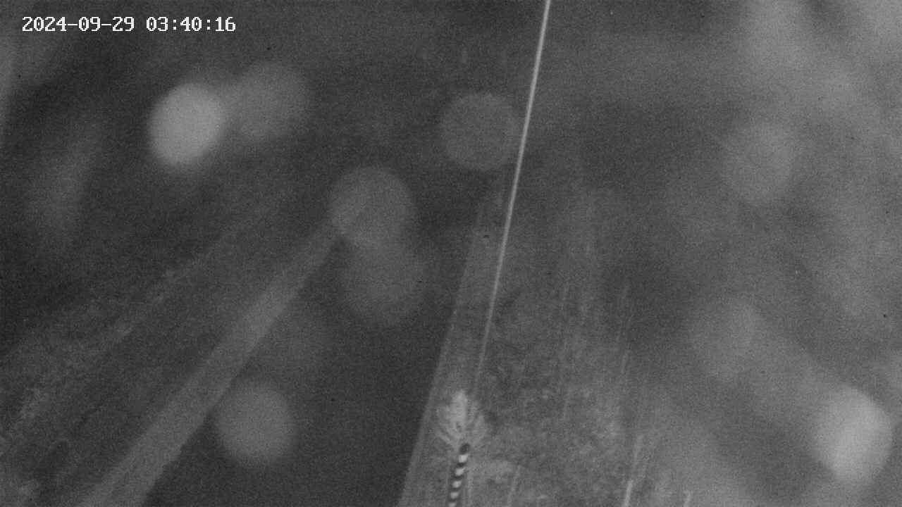 area9-20240929034016.jpg