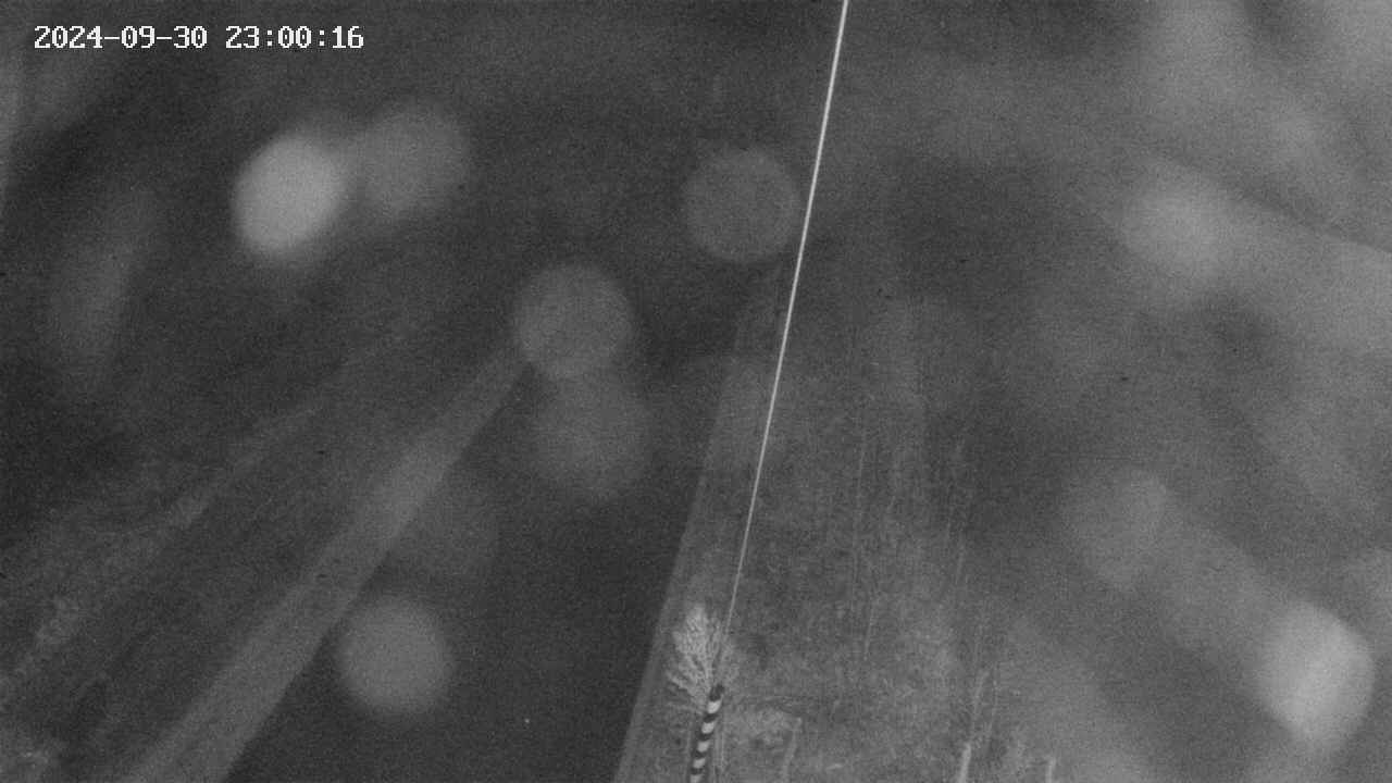 area9-20240930230017.jpg