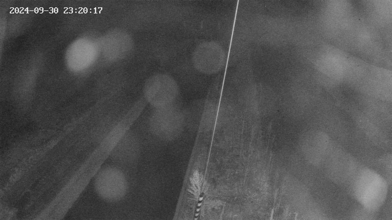 area9-20240930232017.jpg