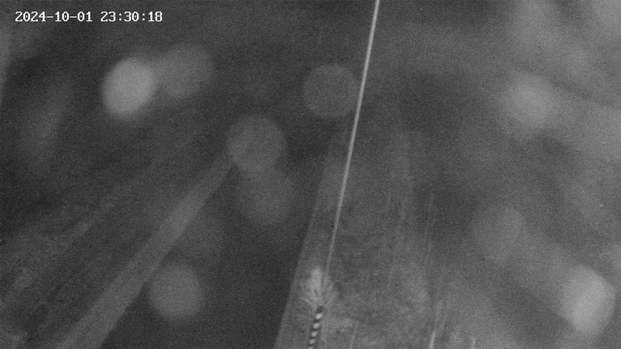 area9-20241001233019.jpg