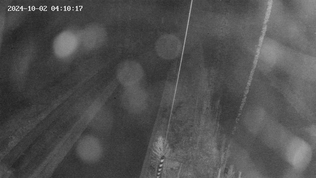 area9-20241002041018.jpg