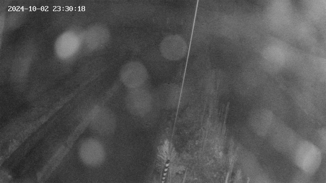 area9-20241002233019.jpg