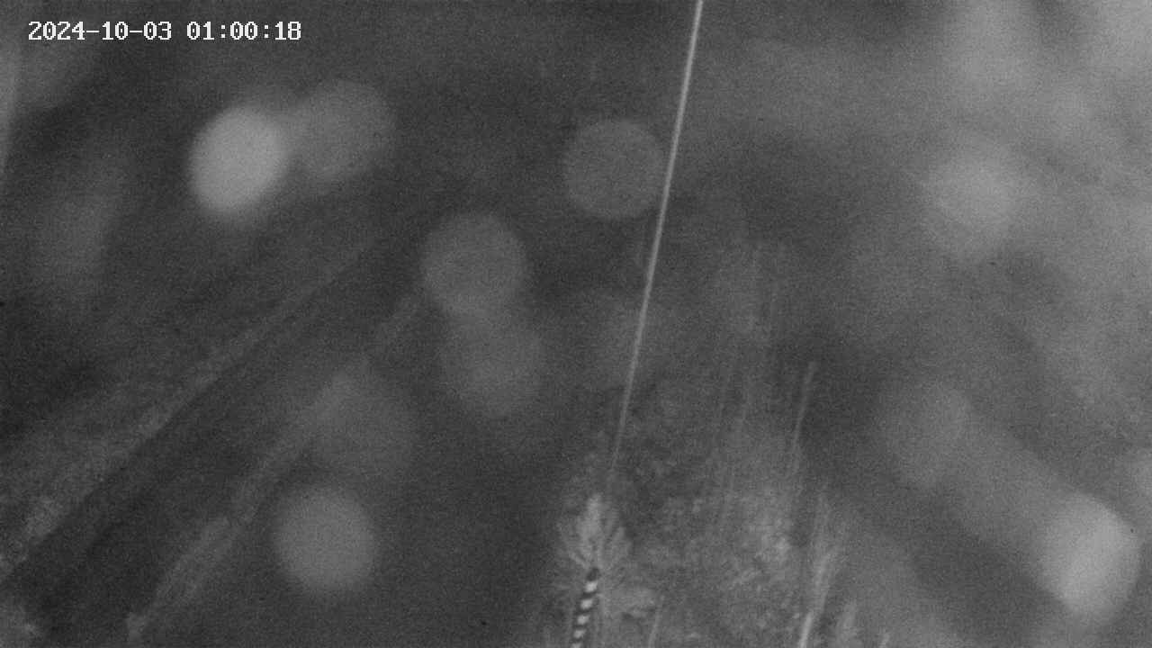 area9-20241003010019.jpg