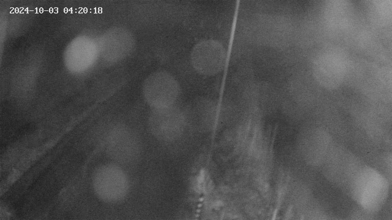 area9-20241003042019.jpg