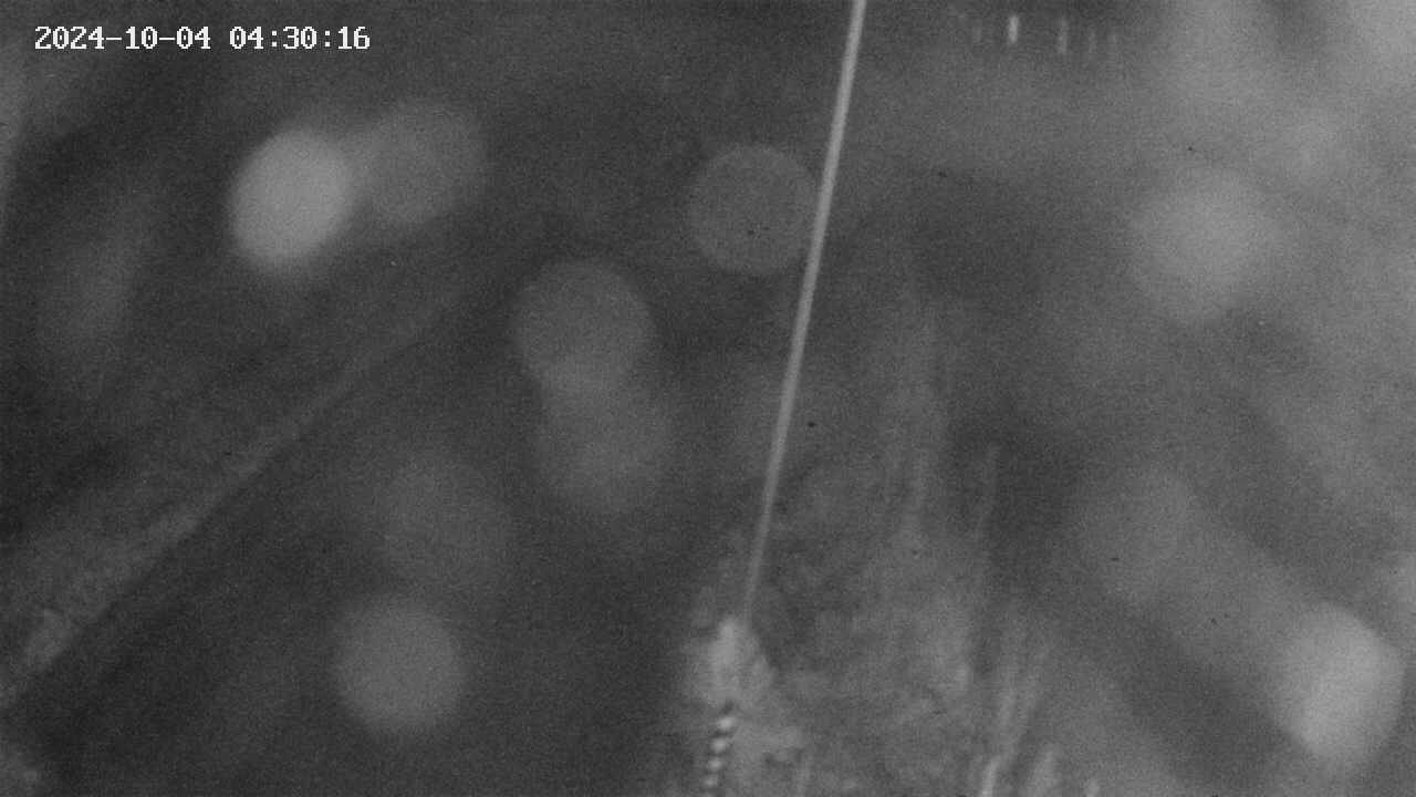 area9-20241004043017.jpg