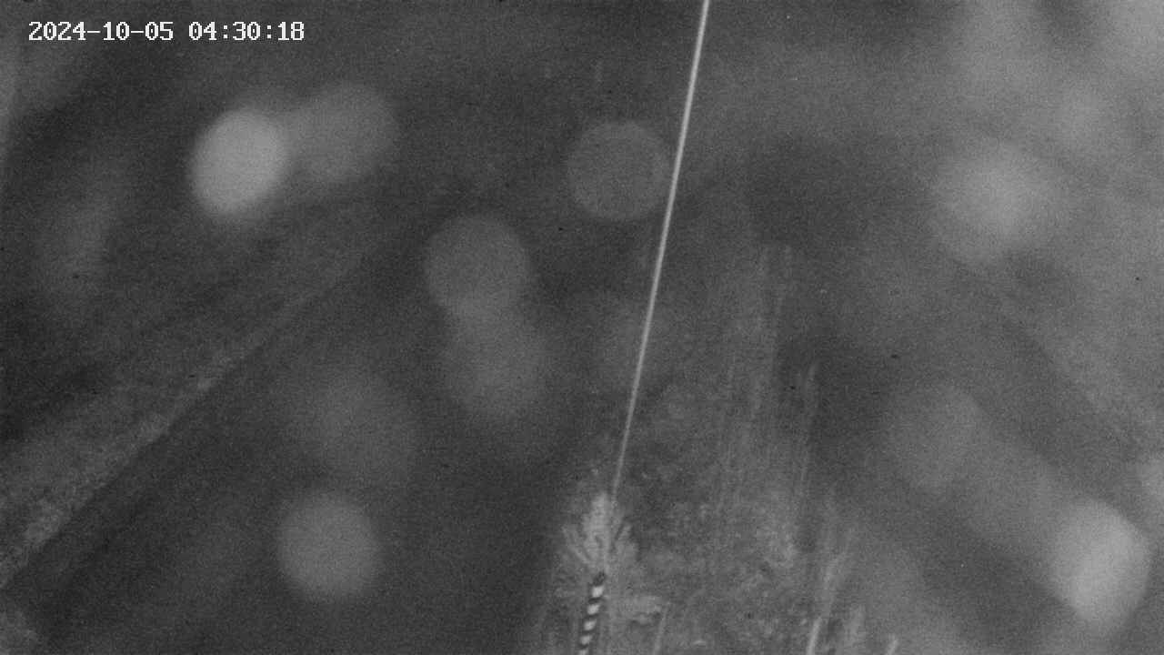 area9-20241005043019.jpg