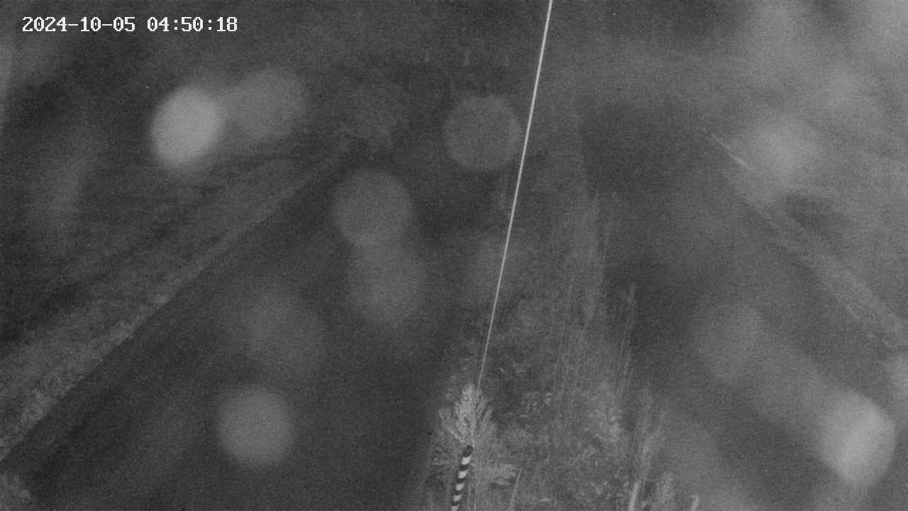 area9-20241005045019.jpg