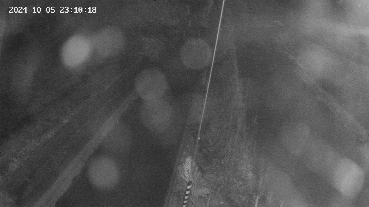 area9-20241005231019.jpg