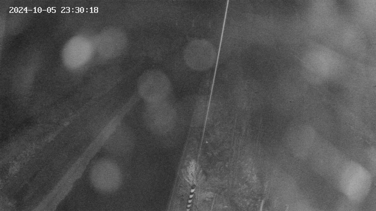 area9-20241005233019.jpg