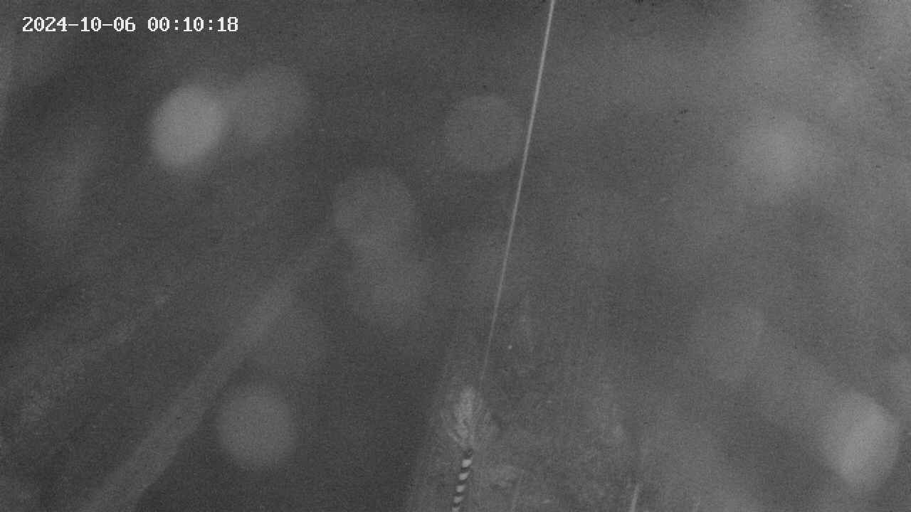 area9-20241006001018.jpg