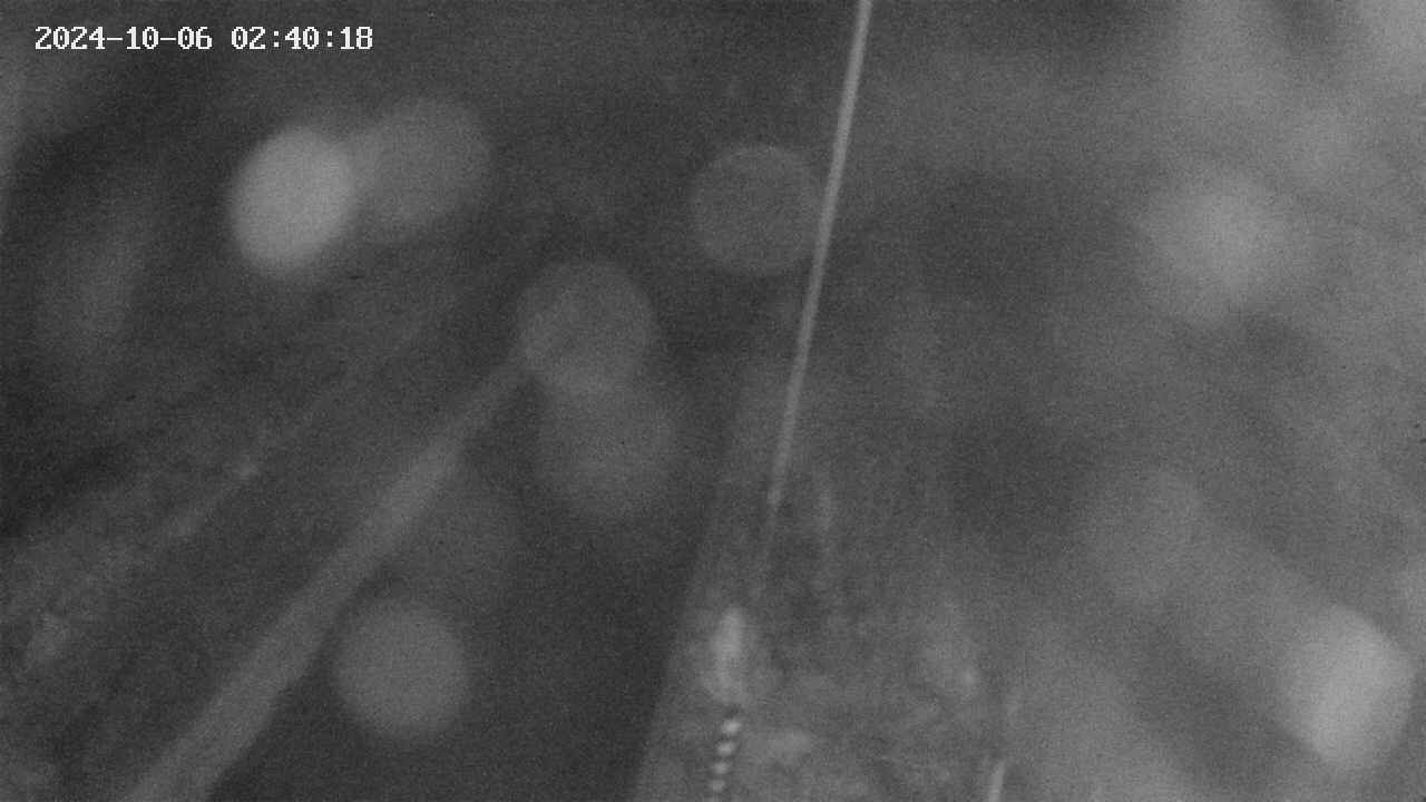 area9-20241006024019.jpg