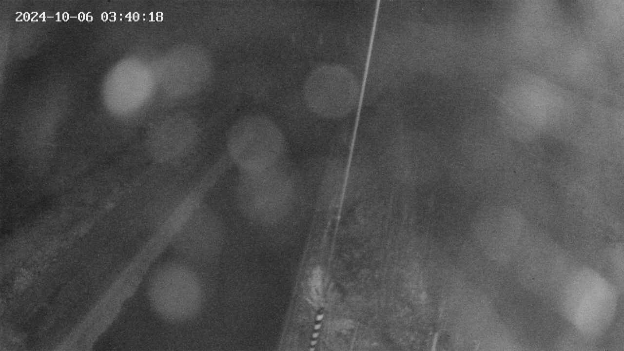 area9-20241006034019.jpg