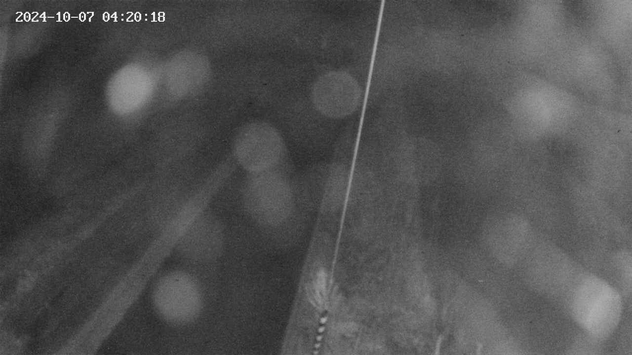 area9-20241007042019.jpg
