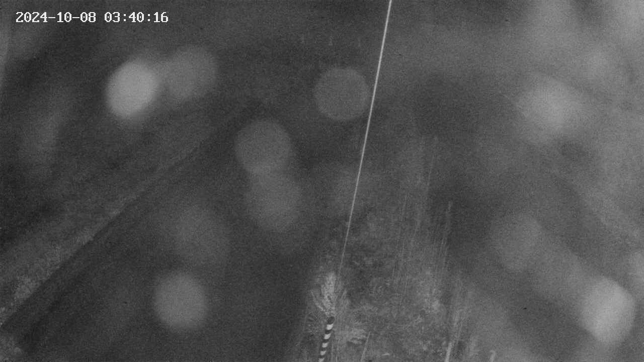 area9-20241008034017.jpg