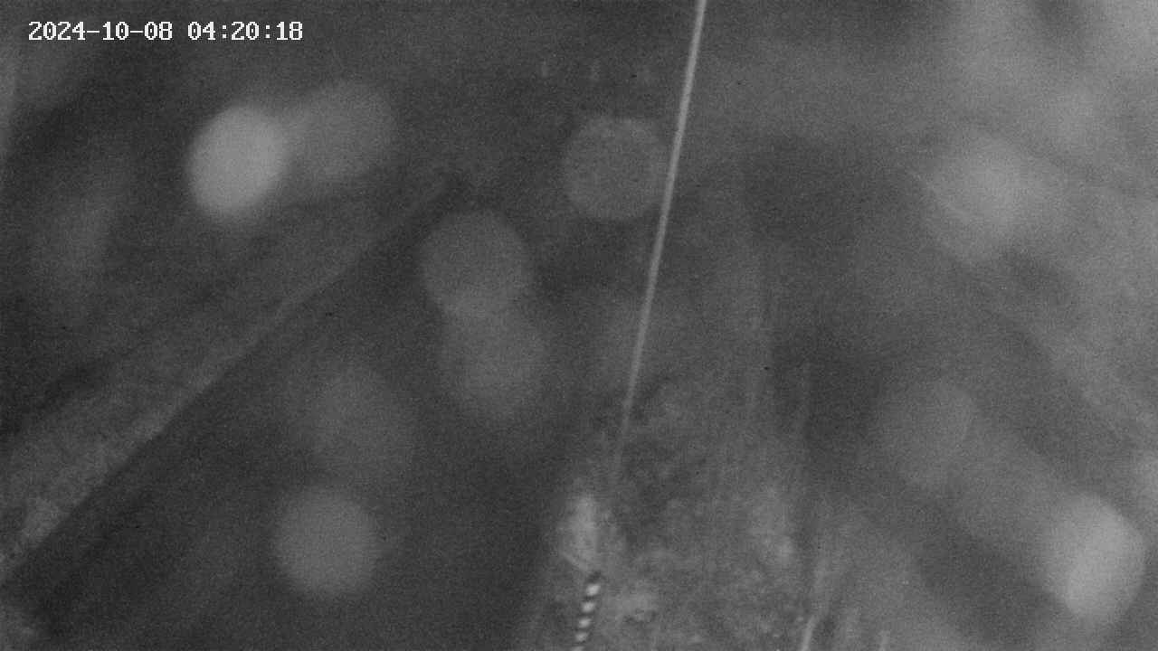 area9-20241008042019.jpg