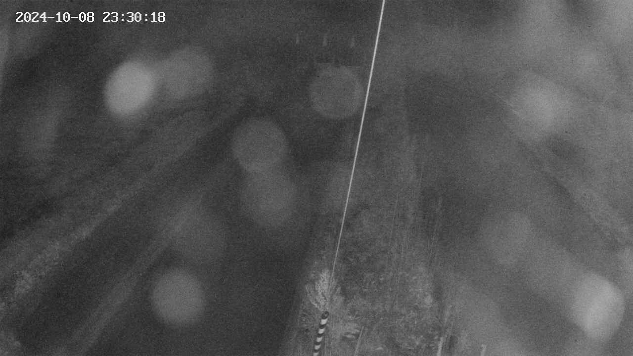 area9-20241008233019.jpg