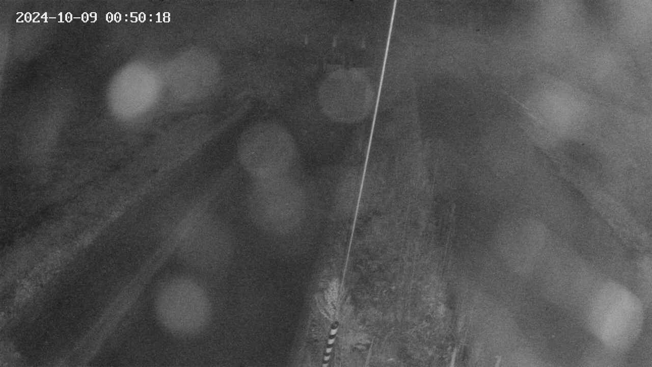 area9-20241009005019.jpg