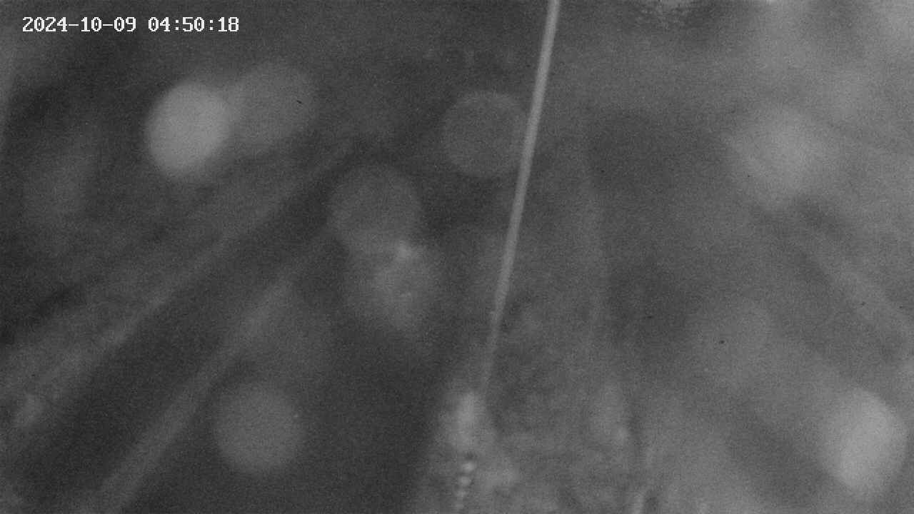 area9-20241009045019.jpg