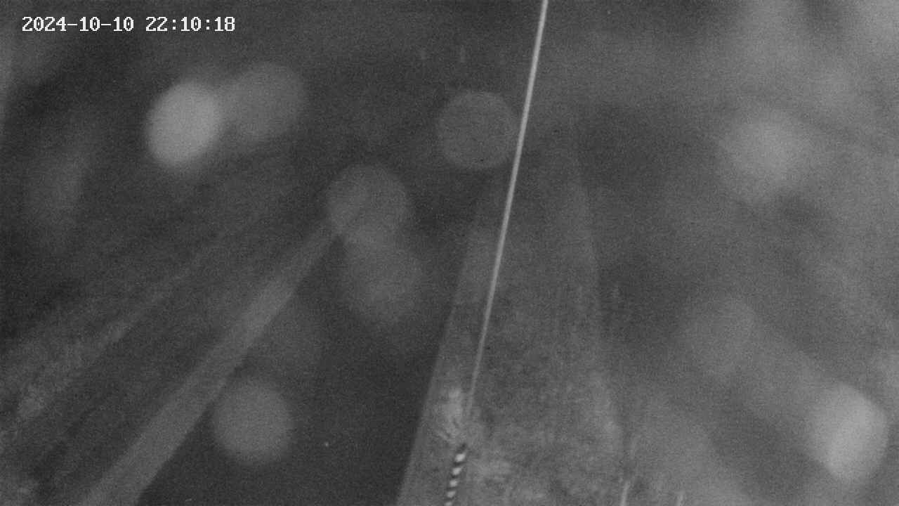 area9-20241010221019.jpg