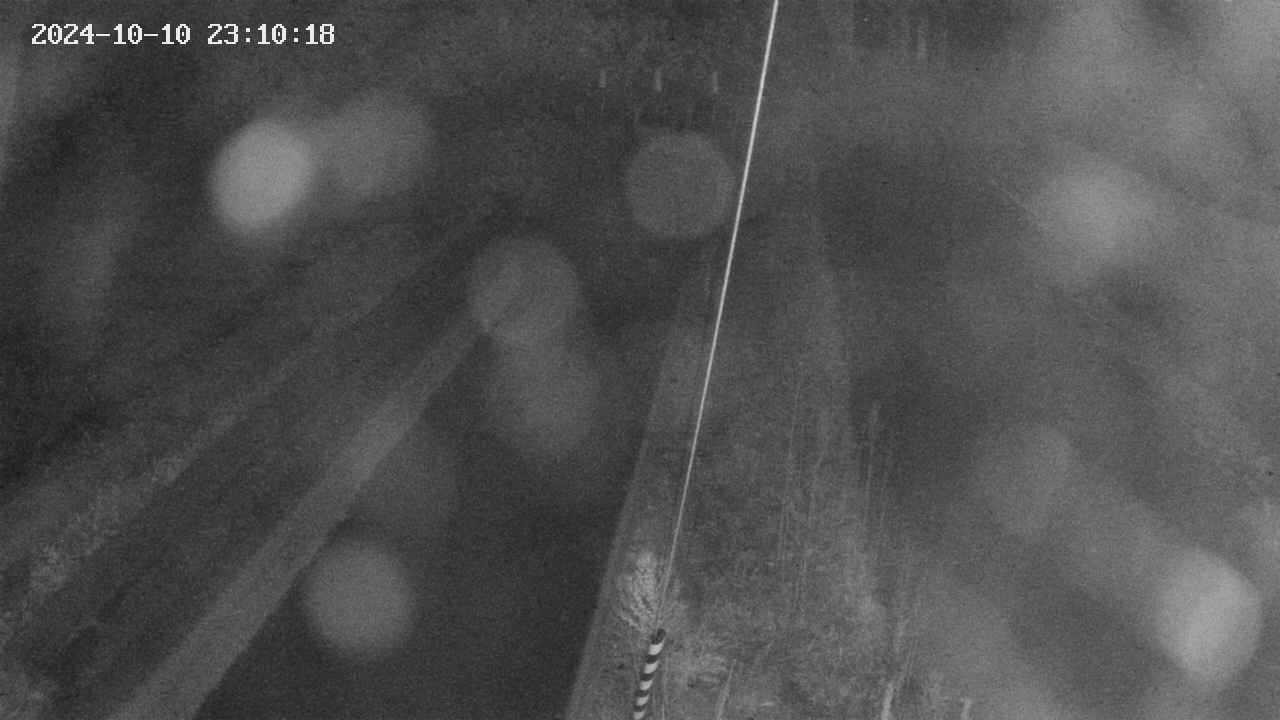 area9-20241010231018.jpg