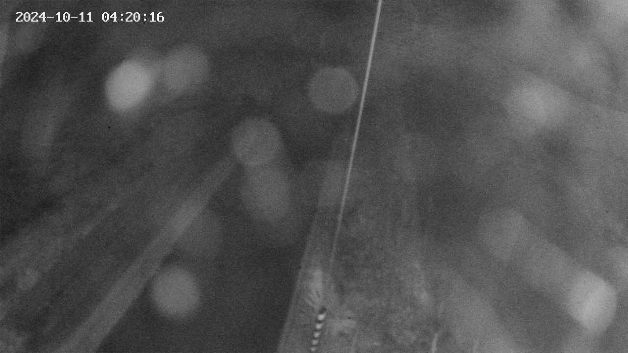 area9-20241011042017.jpg