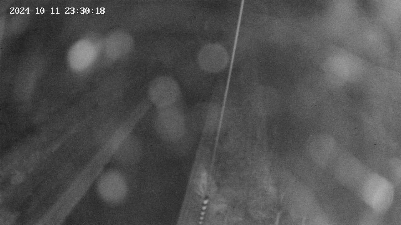 area9-20241011233019.jpg