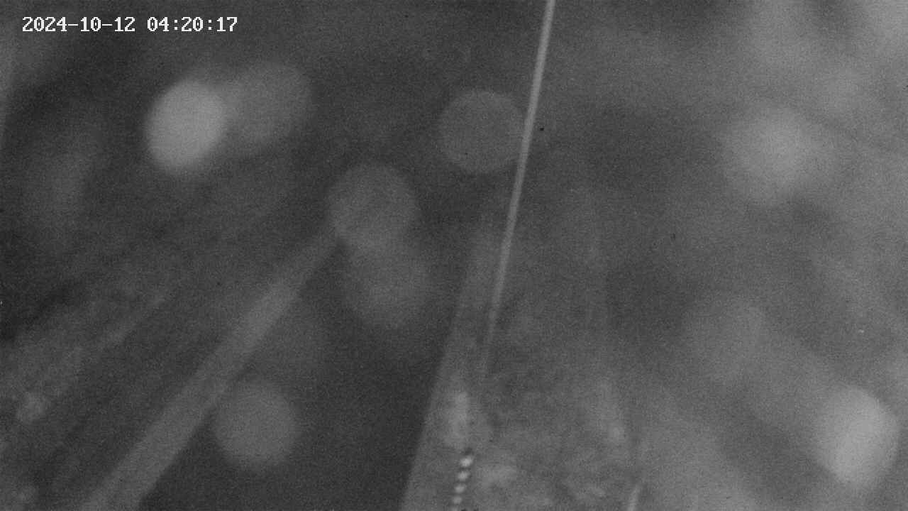 area9-20241012042018.jpg