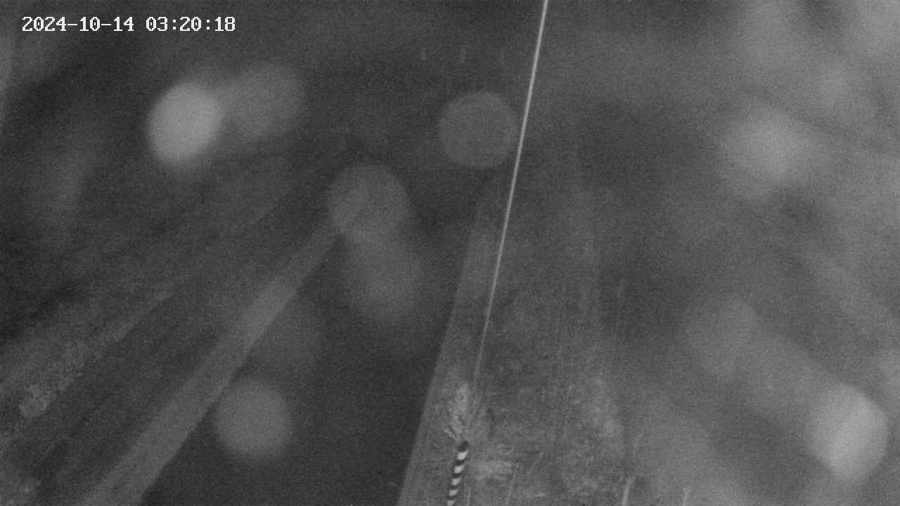 area9-20241014032018.jpg