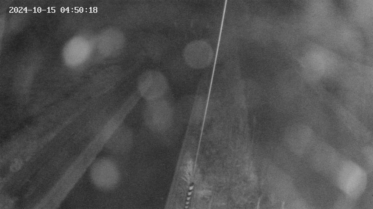 area9-20241015045019.jpg