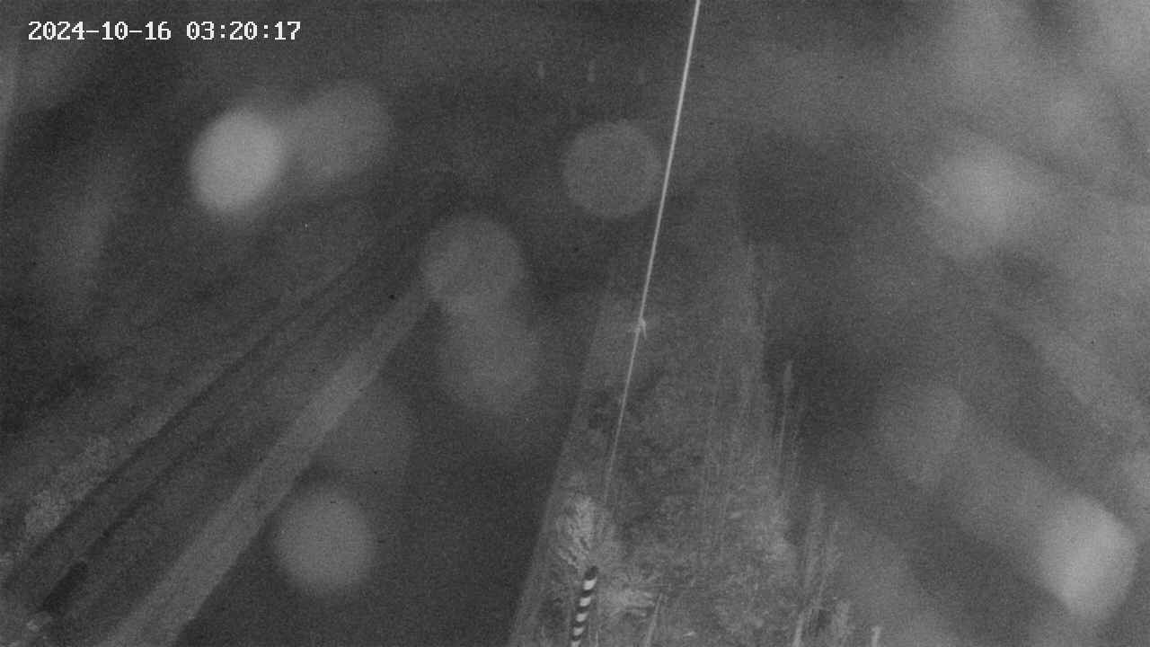 area9-20241016032018.jpg