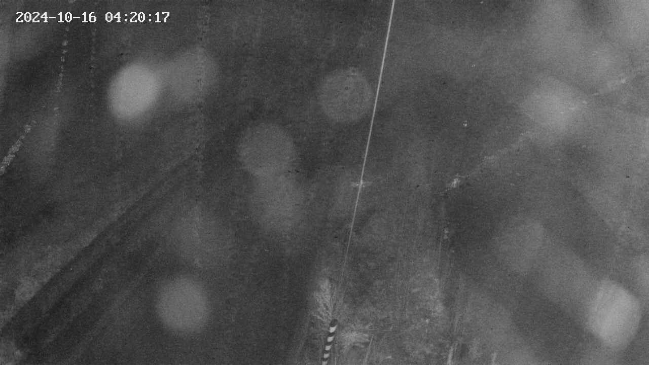 area9-20241016042018.jpg