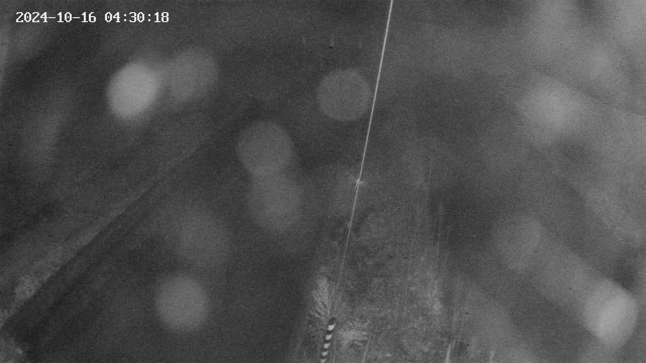 area9-20241016043019.jpg