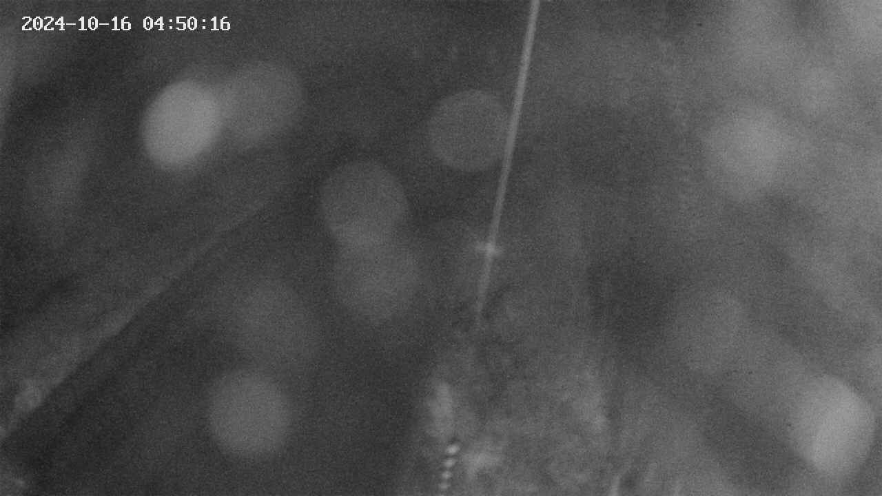 area9-20241016045016.jpg