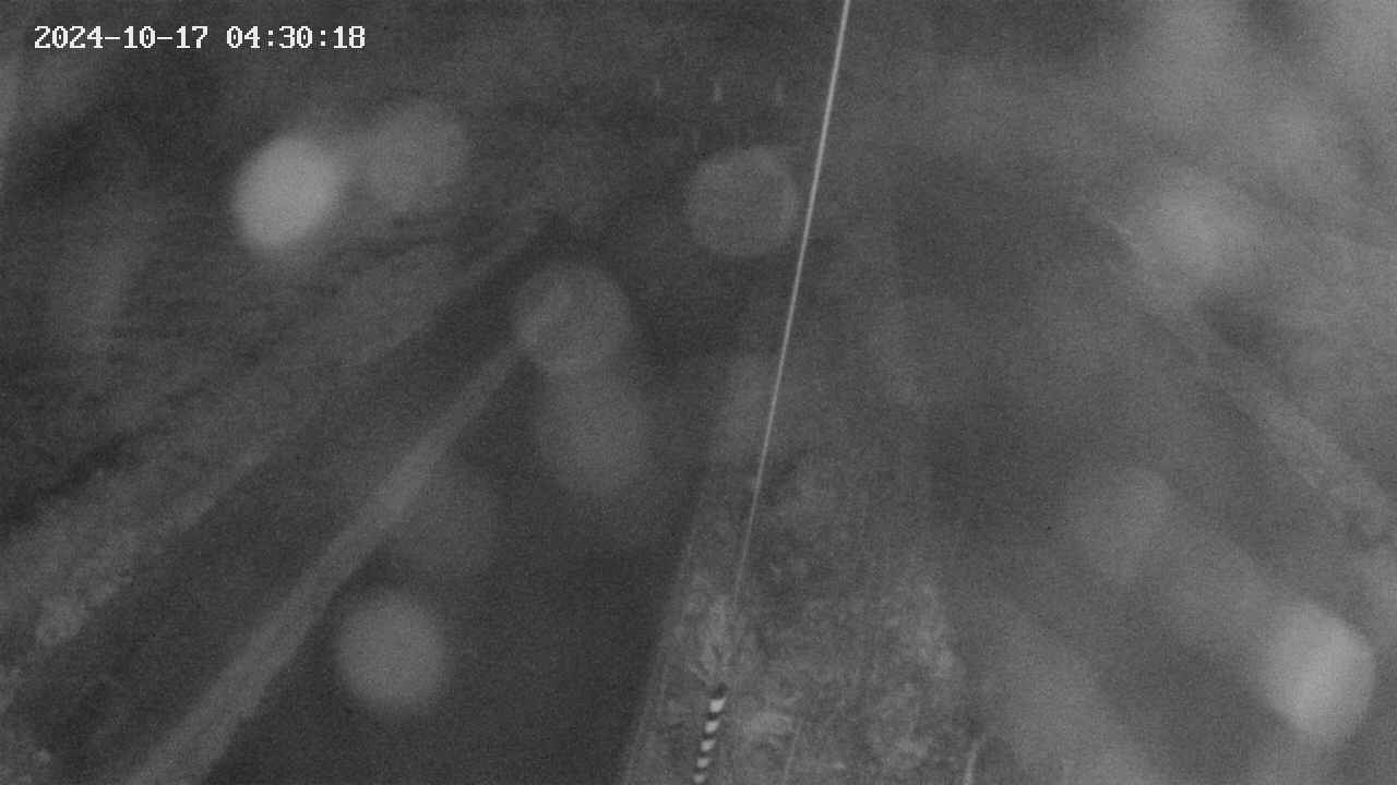 area9-20241017043019.jpg