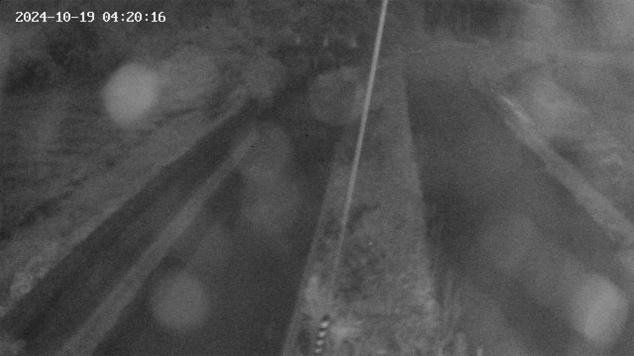 area9-20241019042018.jpg