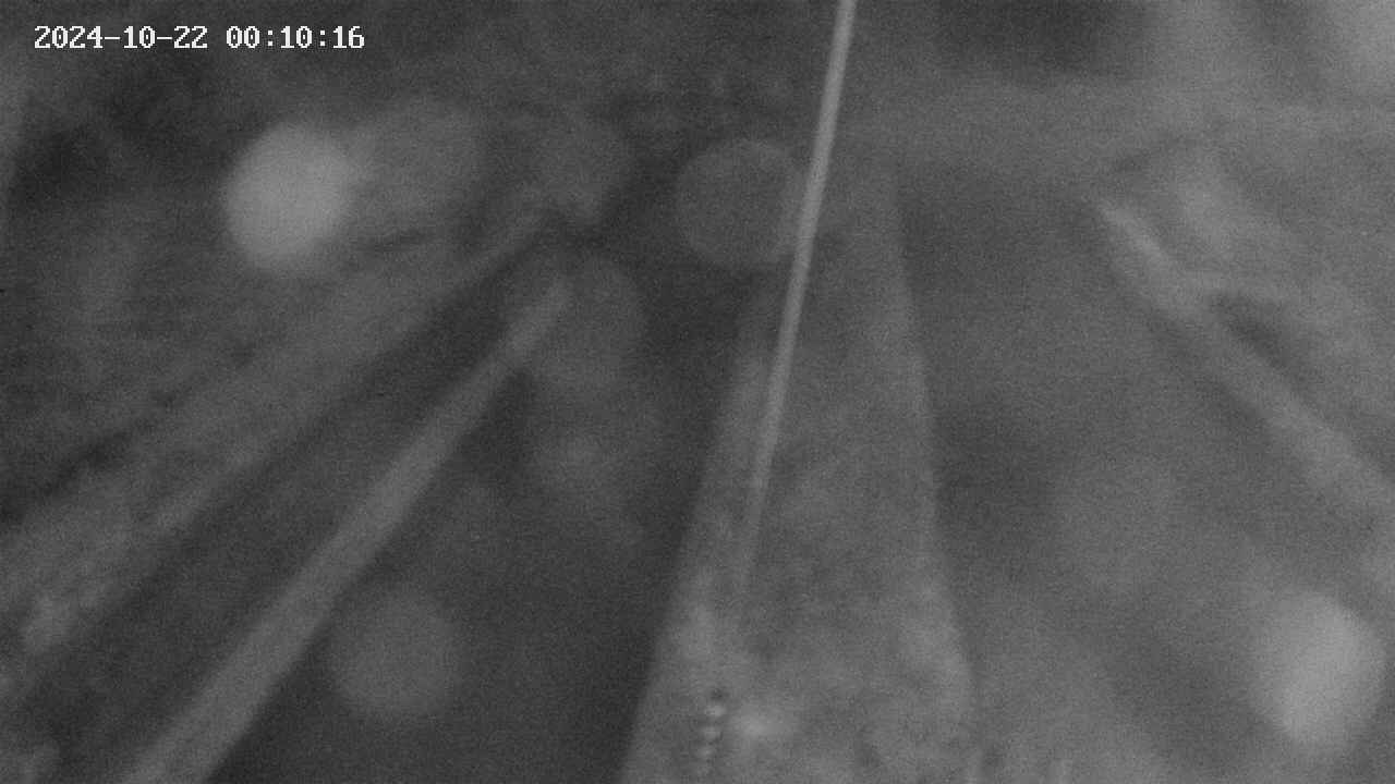 area9-20241022001017.jpg