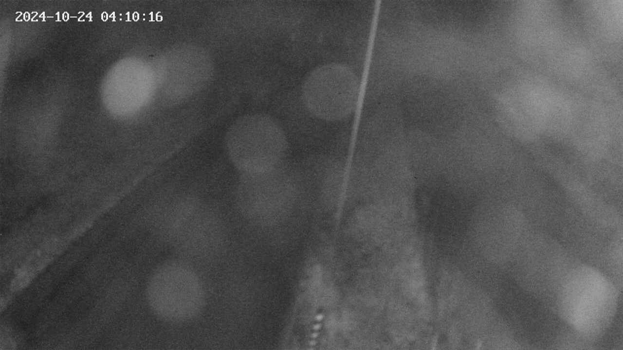 area9-20241024041018.jpg