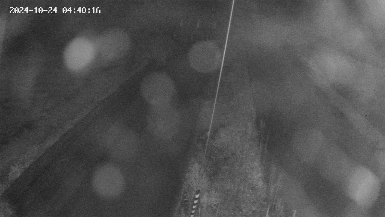 area9-20241024044018.jpg