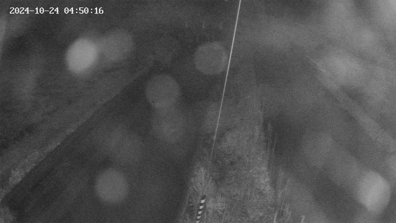 area9-20241024045018.jpg