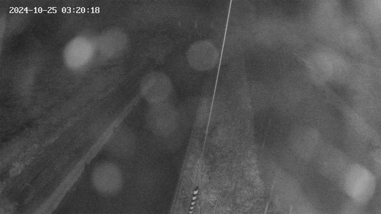 area9-20241025032019.jpg