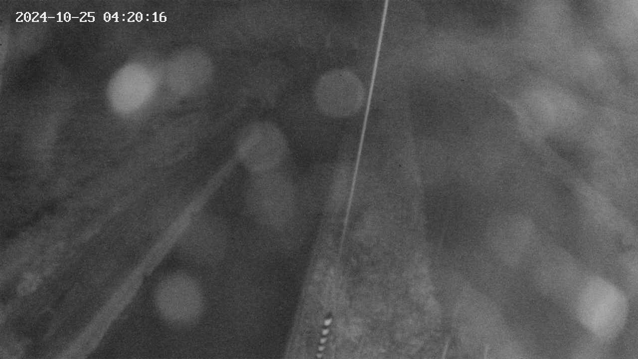 area9-20241025042018.jpg